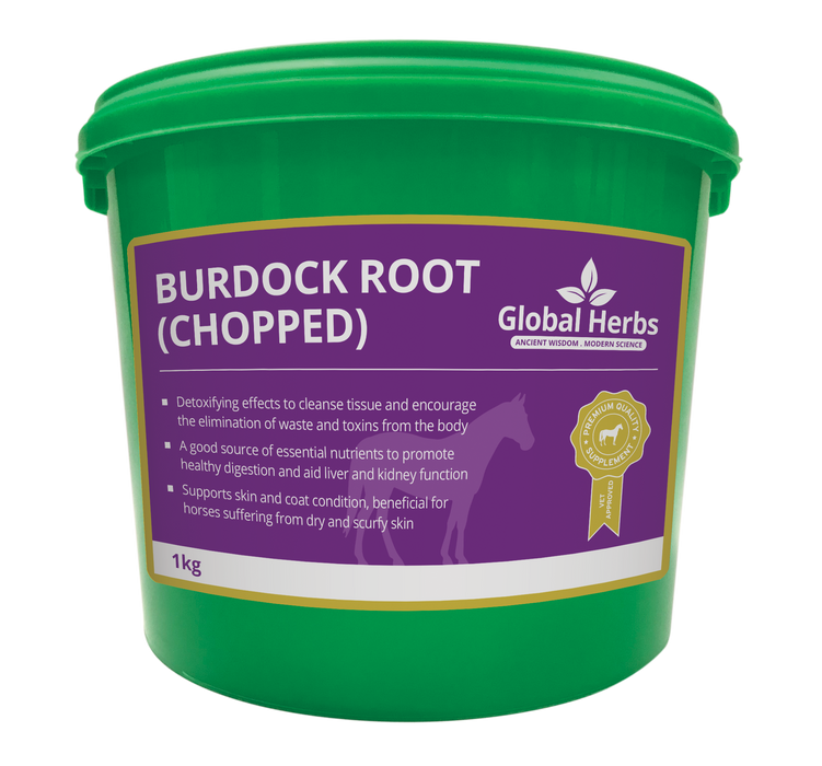 Burdock Root 1Kg - Global Herbs