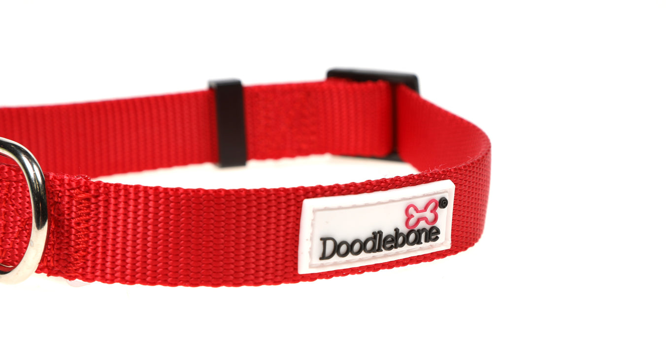Doodlebone Dog Collar  - Various Colours & Sizes