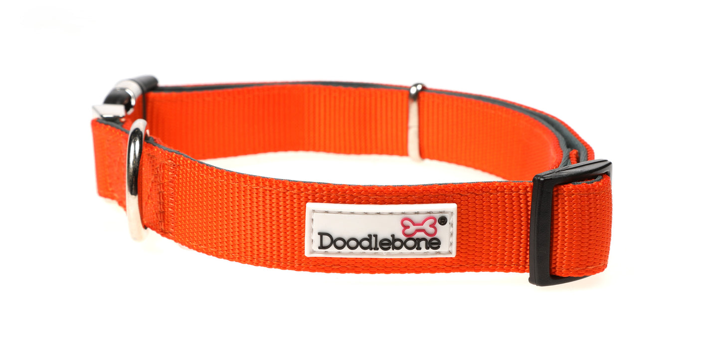 Doodlebone Padded Dog Collar  - Various Colours & Sizes