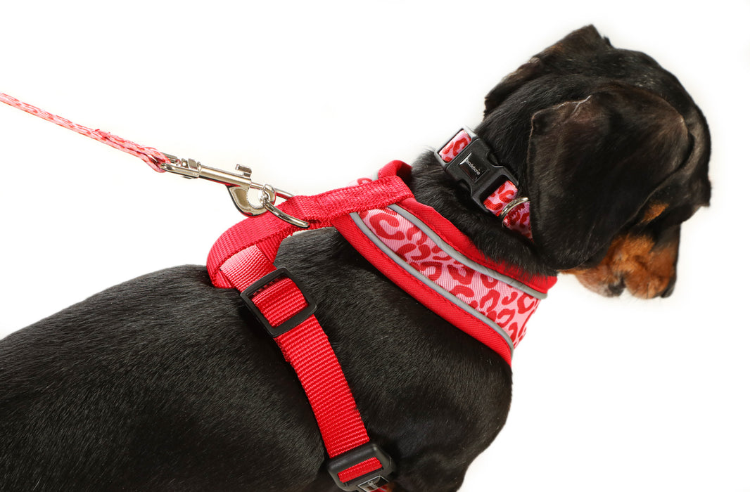 Doodlebone Airmesh Dog Harness  - Various Colours & Sizes