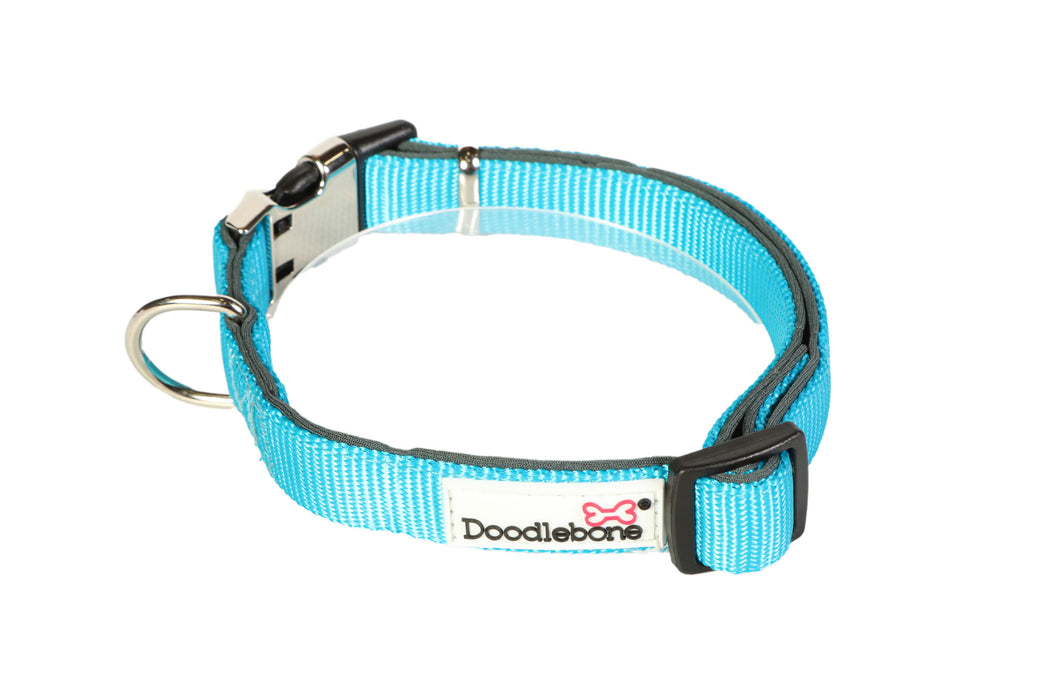 Doodlebone Padded Dog Collar  - Various Colours & Sizes