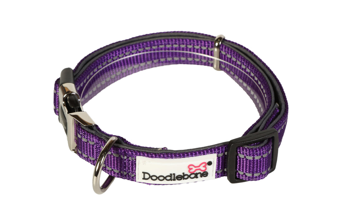 Doodlebone Padded Dog Collar  - Various Colours & Sizes