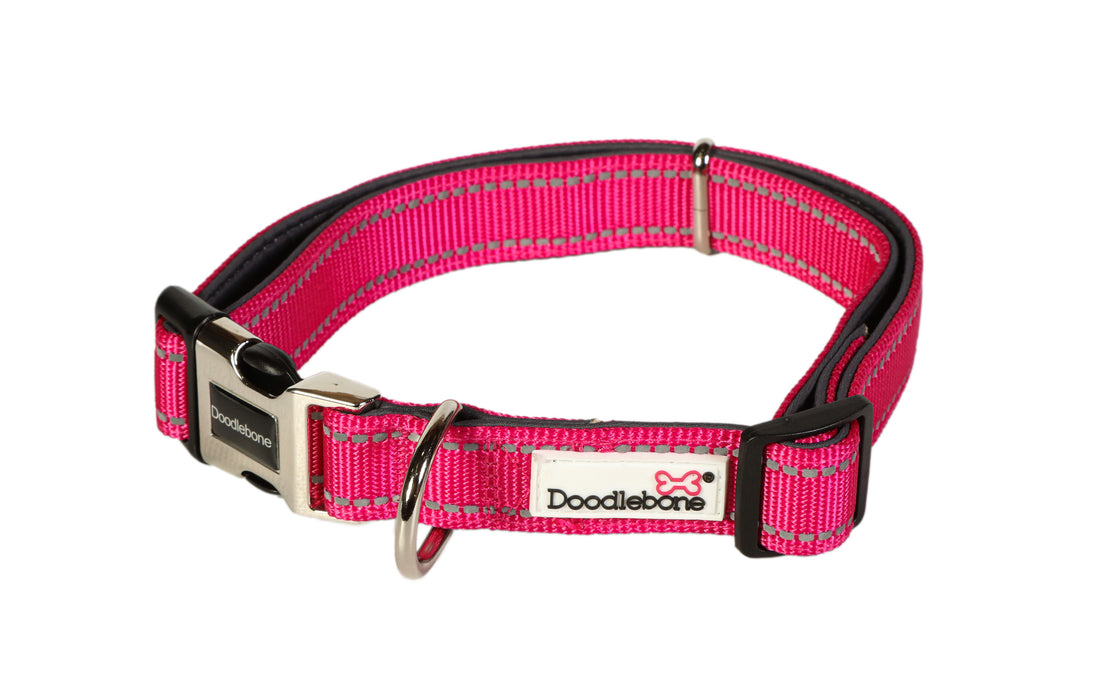 Doodlebone Padded Dog Collar  - Various Colours & Sizes