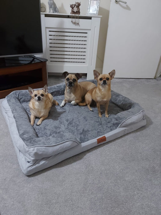 Washable Luxury Dog Sofa Bed - XL