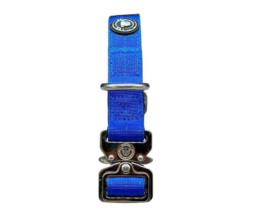 2.5cm Nylon BTactical™ Collar | Royal Blue