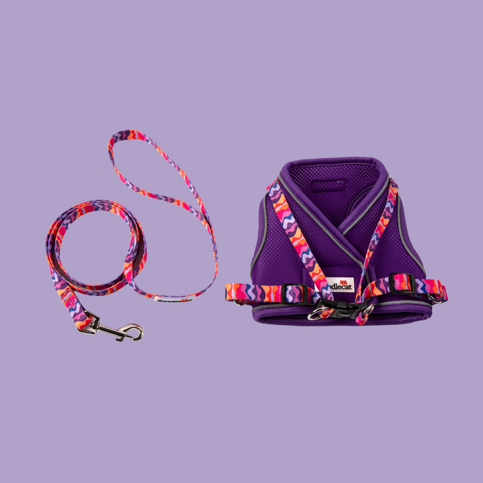 Doodlecat cat roaming harness and lead set in Violet and Dunes