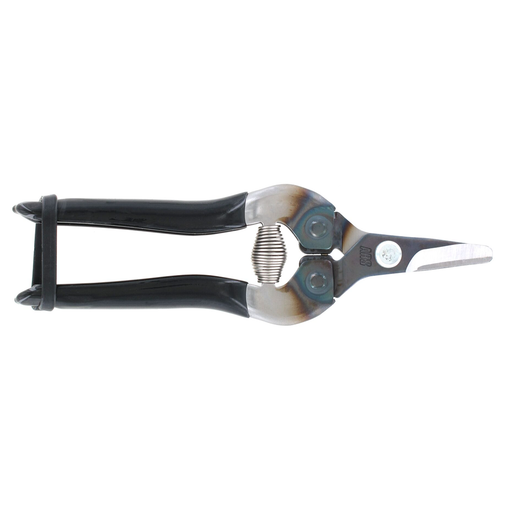 ARS Fruit-Picking Shears – Curved Round-Tip Blades, Black, 160mm (310-BK)