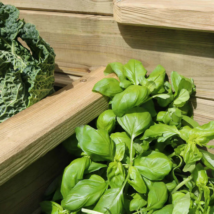 4 TIER RAISED BED - Chestnut Mill