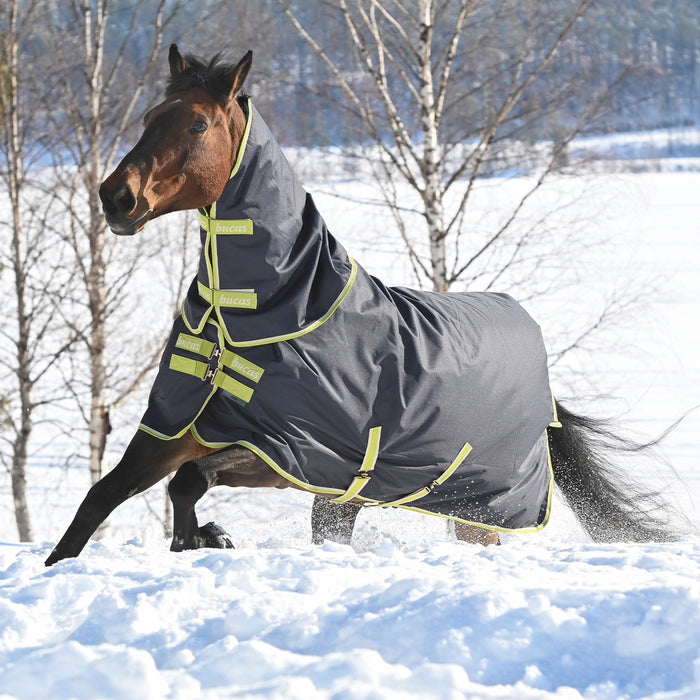 Bucas Oasis Turnout Rug & Neck Cover Set 200g – Dark Grey/Lime