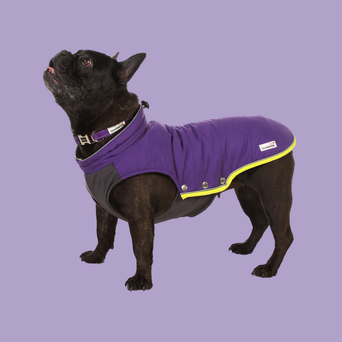 Doodlebone Dog Coat Puffer Jacket  - Various Colours & Sizes