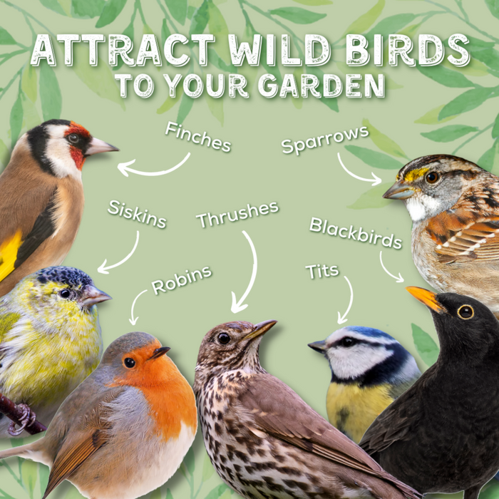 Copdock Mill Wild Attraction Wild Bird Mix – product image 3