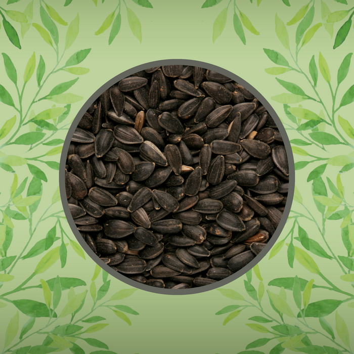 Copdock Mill Black Sunflower Seeds – product image 4