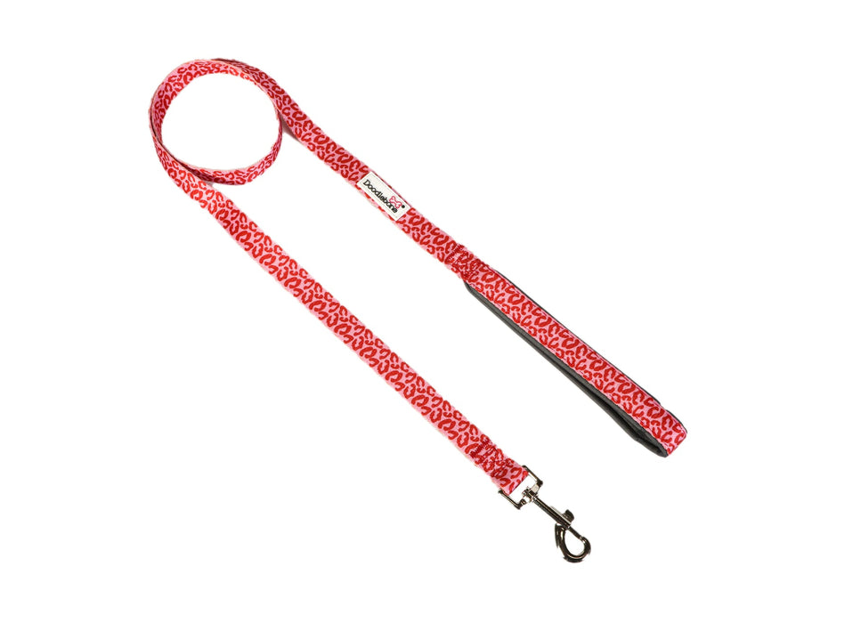 Doodlebone Padded Dog Lead  - Various Colours & Sizes
