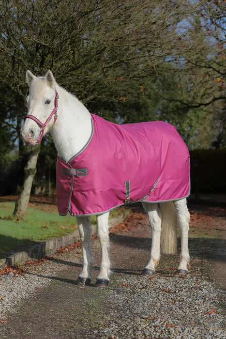 Bucas Freedom Stable Rug 150g – Raspberry