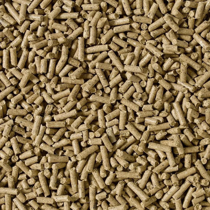 Saracen Condition-Improver Cubes - 20 kg