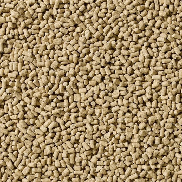 Saracen Equi-Jewel – Stabilised Rice Bran for Calm Energy & Condition – 20kg