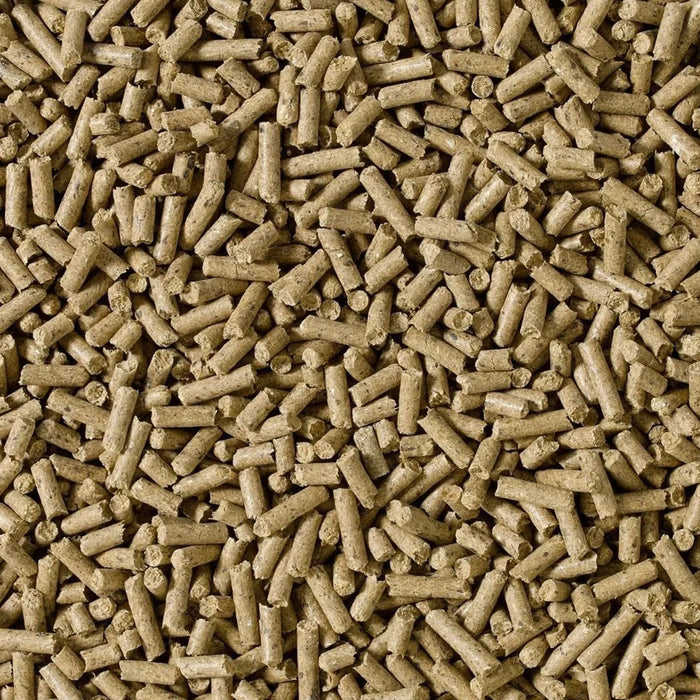 Saracen Competition-Fit Cubes – Oat-Free High-Energy Competition Feed – 20kg