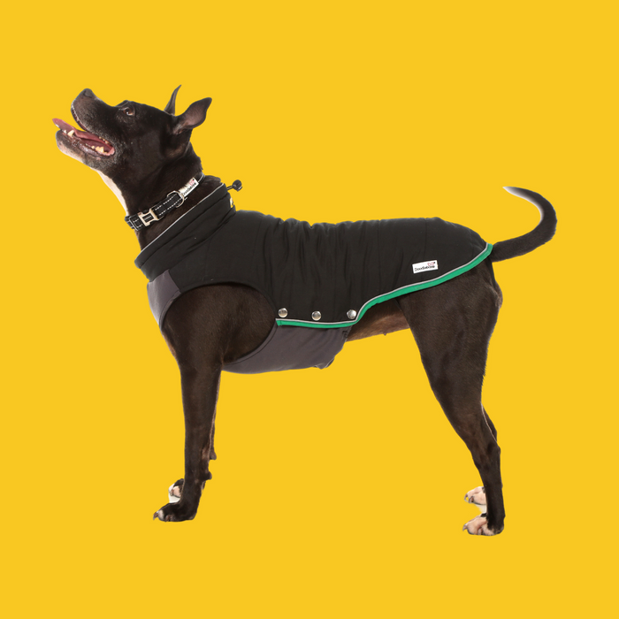 Doodlebone Dog Coat Puffer Jacket  - Various Colours & Sizes