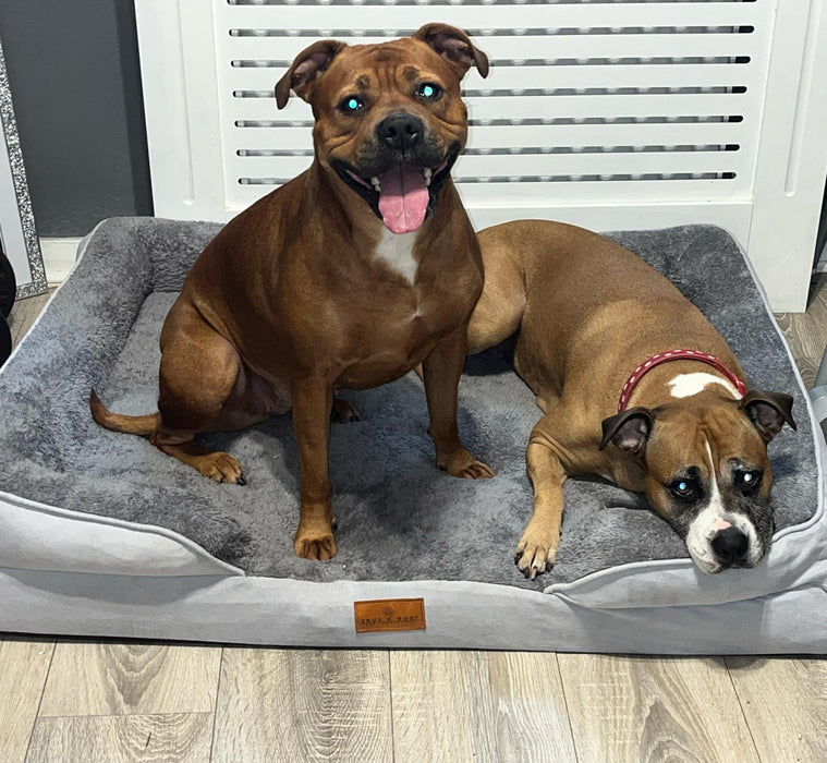 Washable Luxury Dog Sofa Bed - XL