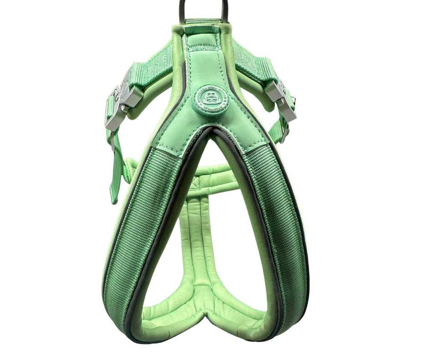 The 2.5cm BTactical™ Slip on Harnesses