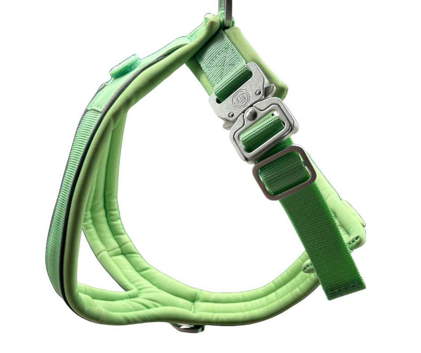 The 2.5cm BTactical™ Slip on Harness | Pastel Green