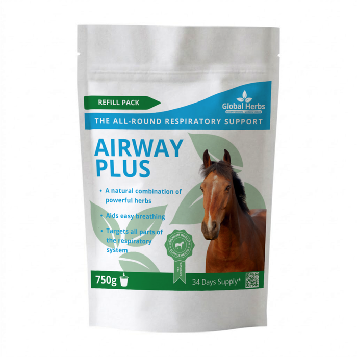 Global Herbs Airway Plus Powder Refill Pouch