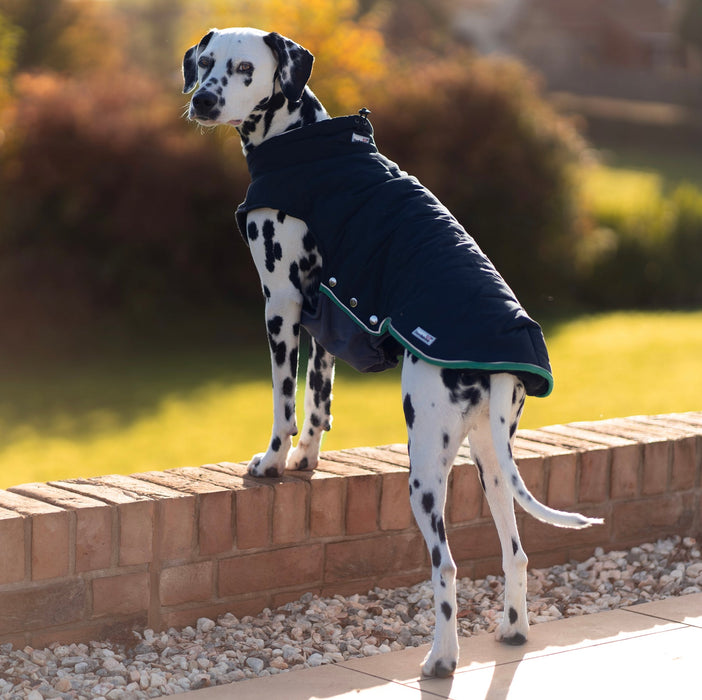 Doodlebone Dog Coat Puffer Jacket  - Various Colours & Sizes