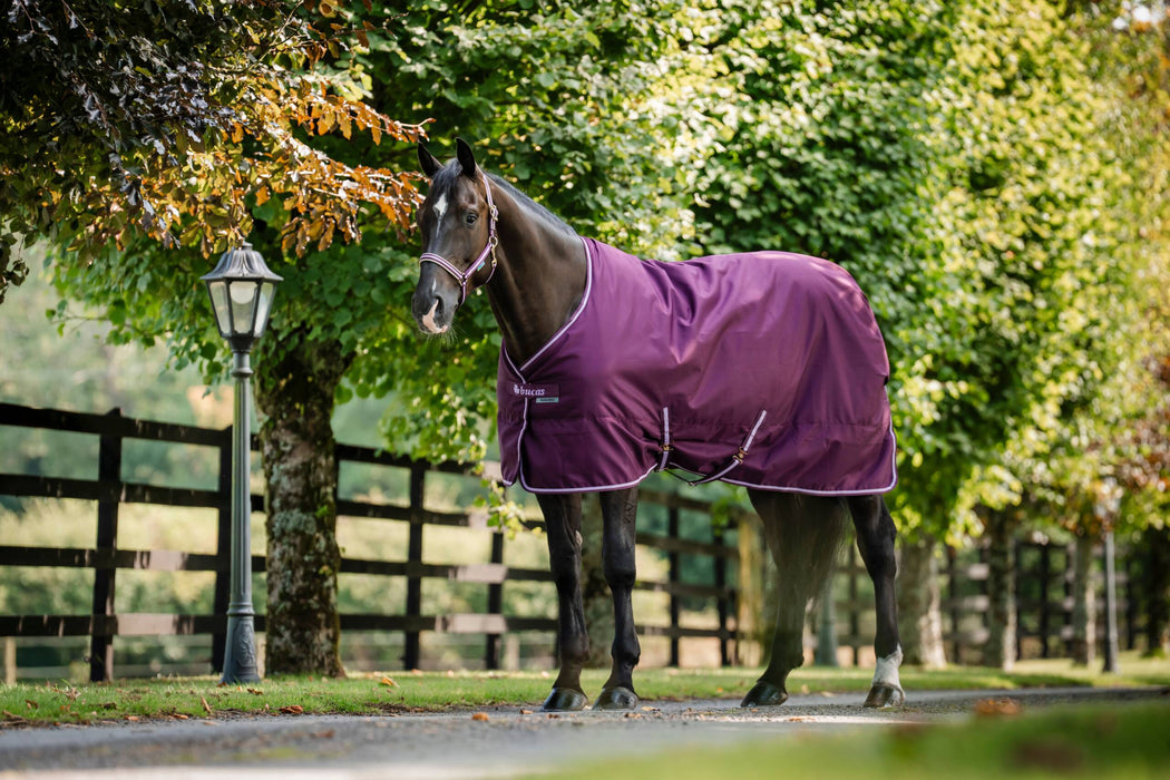 Bucas Freedom Stable Rug 300g – Blackberry