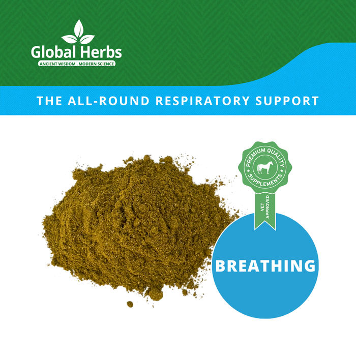 Global Herbs Airway Plus Powder Refill Pouch