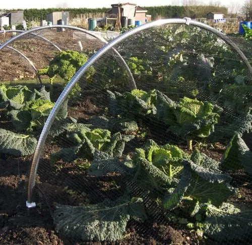 Aluminium Large Hoop Tunnel and Netting Kit - 80cm Tall x 1.55m Wide - Various Lengths and Netting - Chestnut Mill