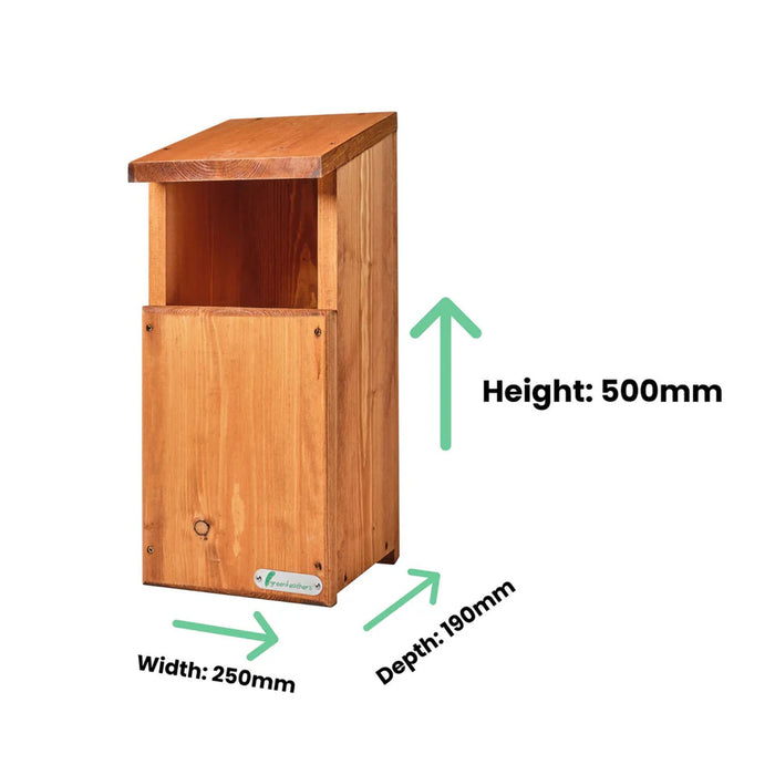 Handmade Wooden Owl Box