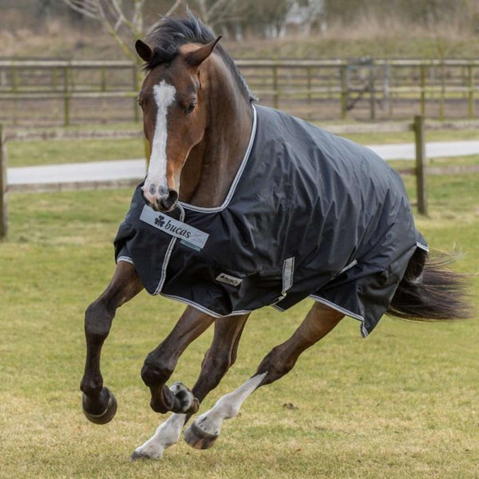 Bucas Anniversary Turnout Rug 100g Stay-Dry – Black/Sapphire