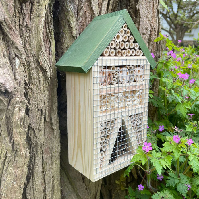 Green Feathers Bug Hotel