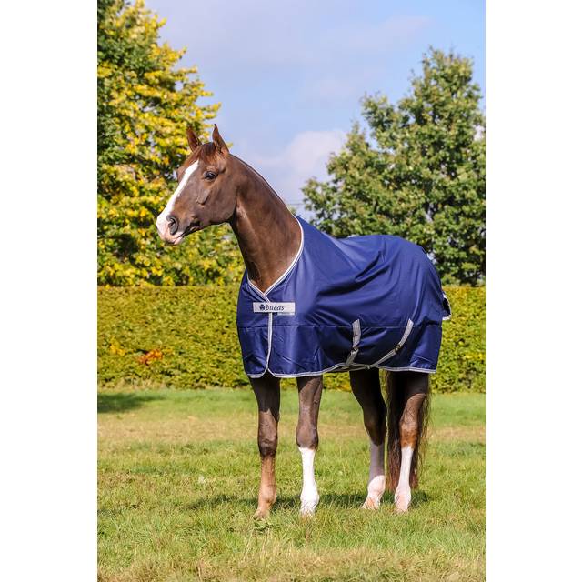 Bucas Freedom Turnout Rug 50g – Blackberry