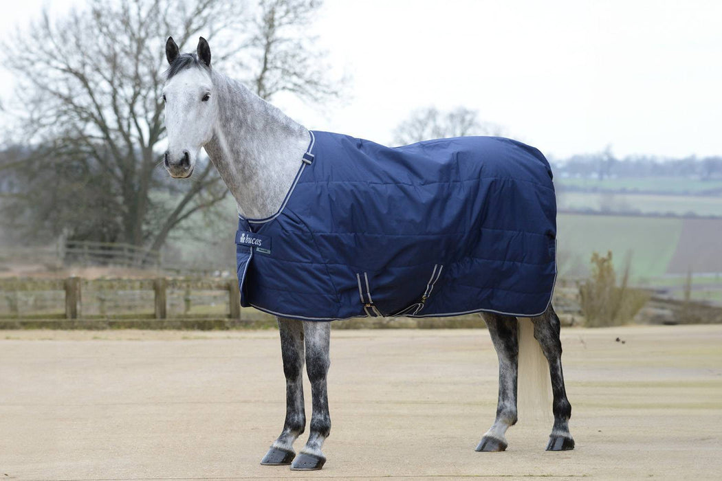 BUCAS QUILT 50 Dermo-Care Big Neck -  Navy