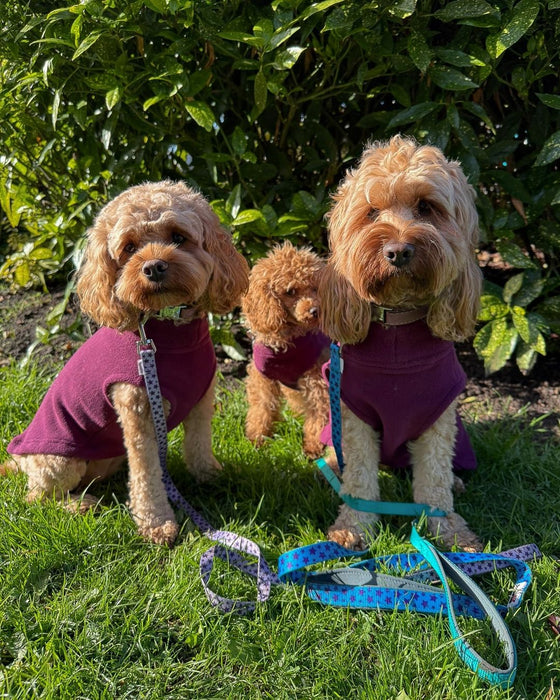 Doodlebone Dog Coat Fleecy  - Various Colours & Sizes