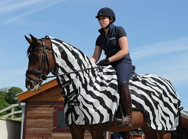 Bucas Buzz-Off Zebra Riding Rug