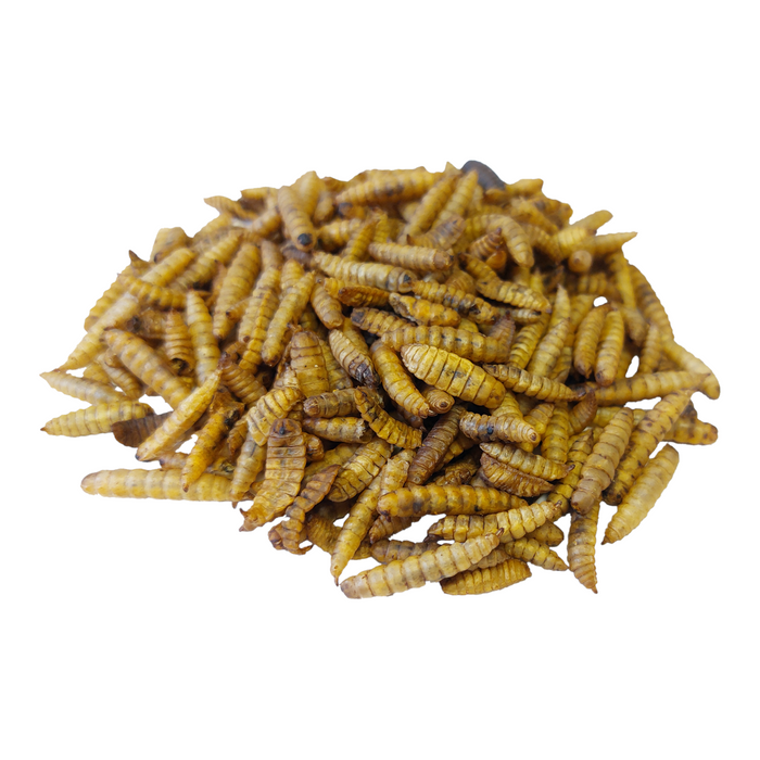 Copdock Mill Calci Boost (Black Soldier Fly) - 12.55kg - product image 1