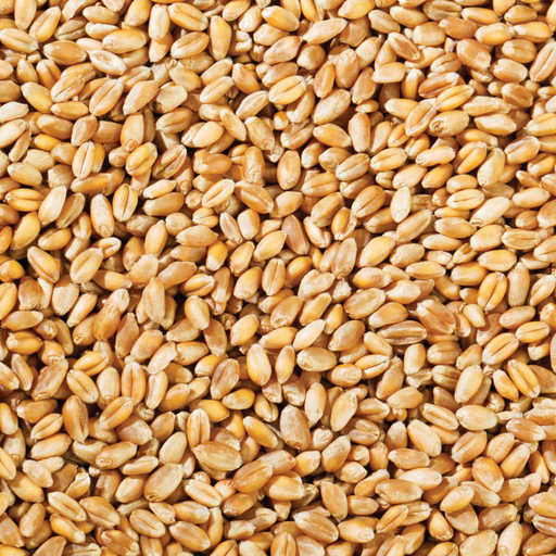 Copdock Mill Whole Wheat 20kg - product image 1