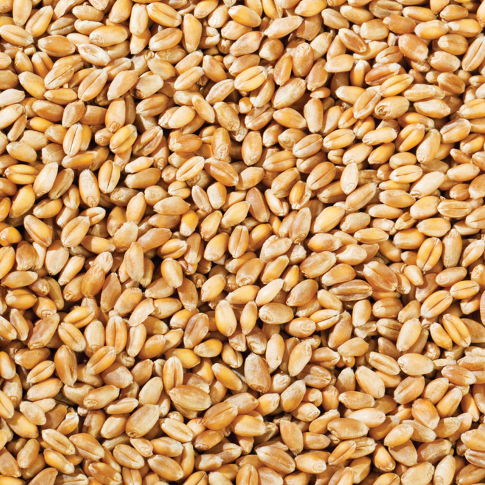 Copdock Mill Whole Wheat 20kg - product image 1