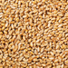 Copdock Mill Whole Wheat 20kg - product image 1