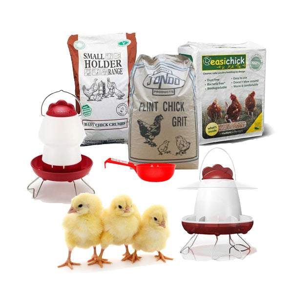 Chicken Starter Chick Kit - For 3-6 Chicks