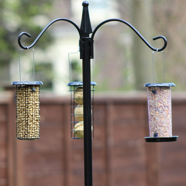 Complete Dining Station with 3 Feeders