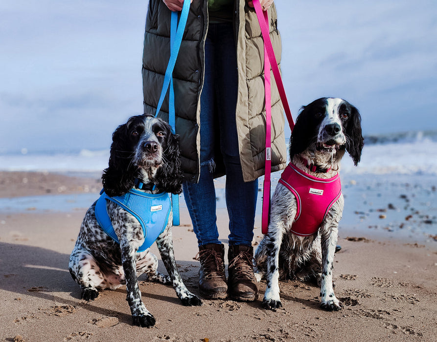 Doodlebone Padded Dog Lead  - Various Colours & Sizes