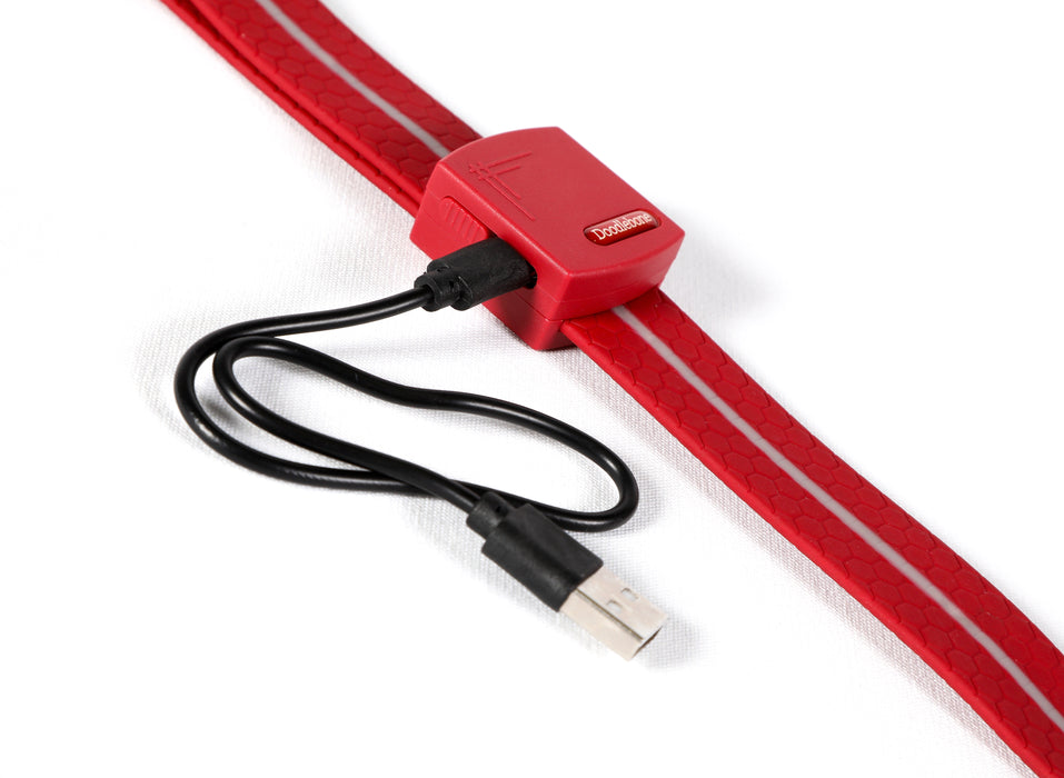 Doodlebone LED Dog Lead - Berry