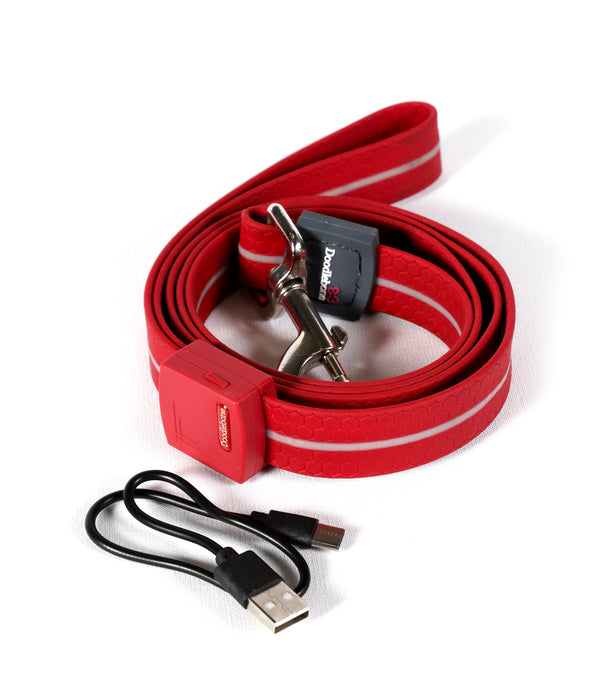 Doodlebone LED Dog Lead - Berry