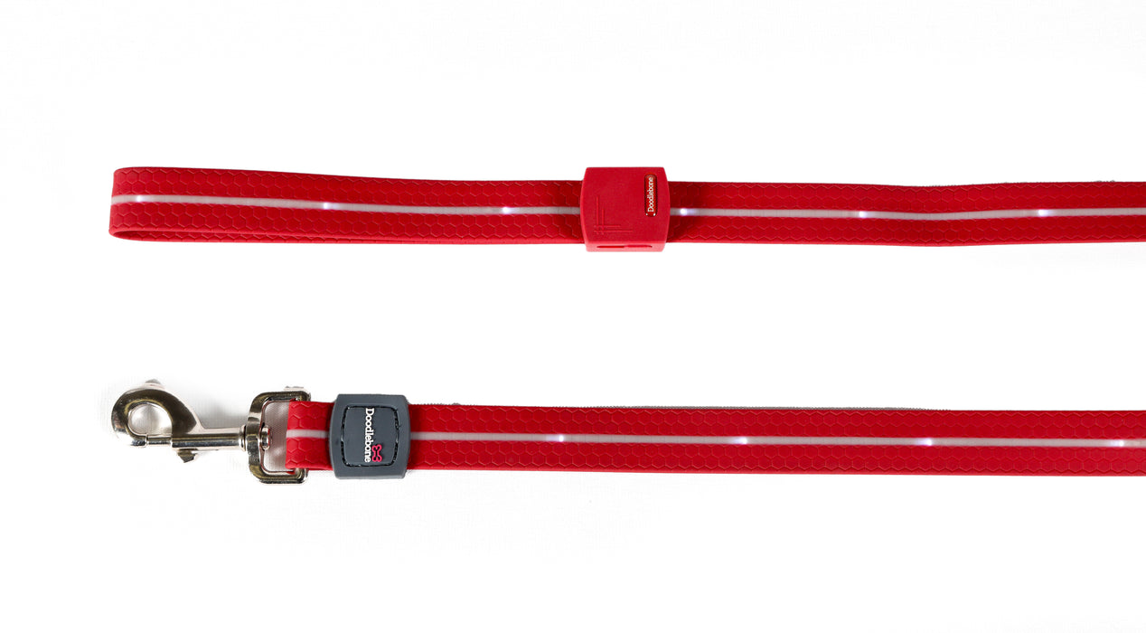 Doodlebone LED Dog Lead - Berry