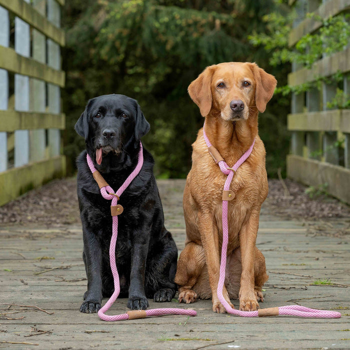 Ruff & Tumble Dog Clip Lead - Various Colours - SUMMER SPECIAL OFFER - UPTO 21% OFF