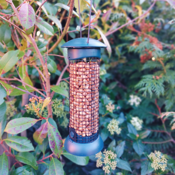 Easy Fill & Clean Peanut Feeder
