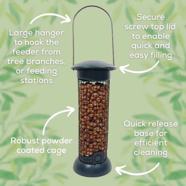 Easy Fill & Clean Peanut Feeder